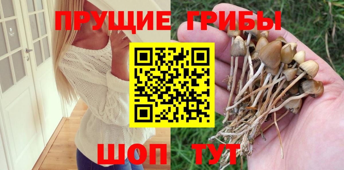 Алапаевск  Псилоцибиновые грибы MAGIC MUSHROOMS  что такое наркотик  Вход с VPN 