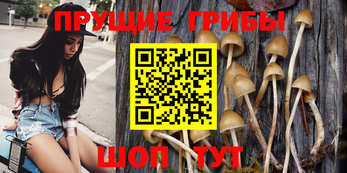 Псилоцибиновые грибы мухоморы Алапаевск